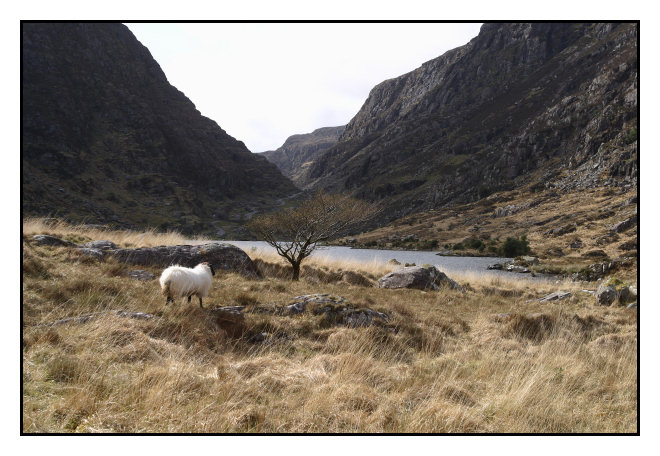 Irlande_20050412-04