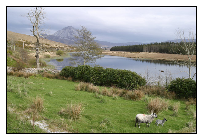 Irlande_20050416-13